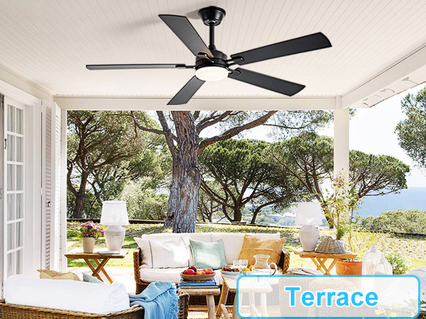 outdoor ceiling fan