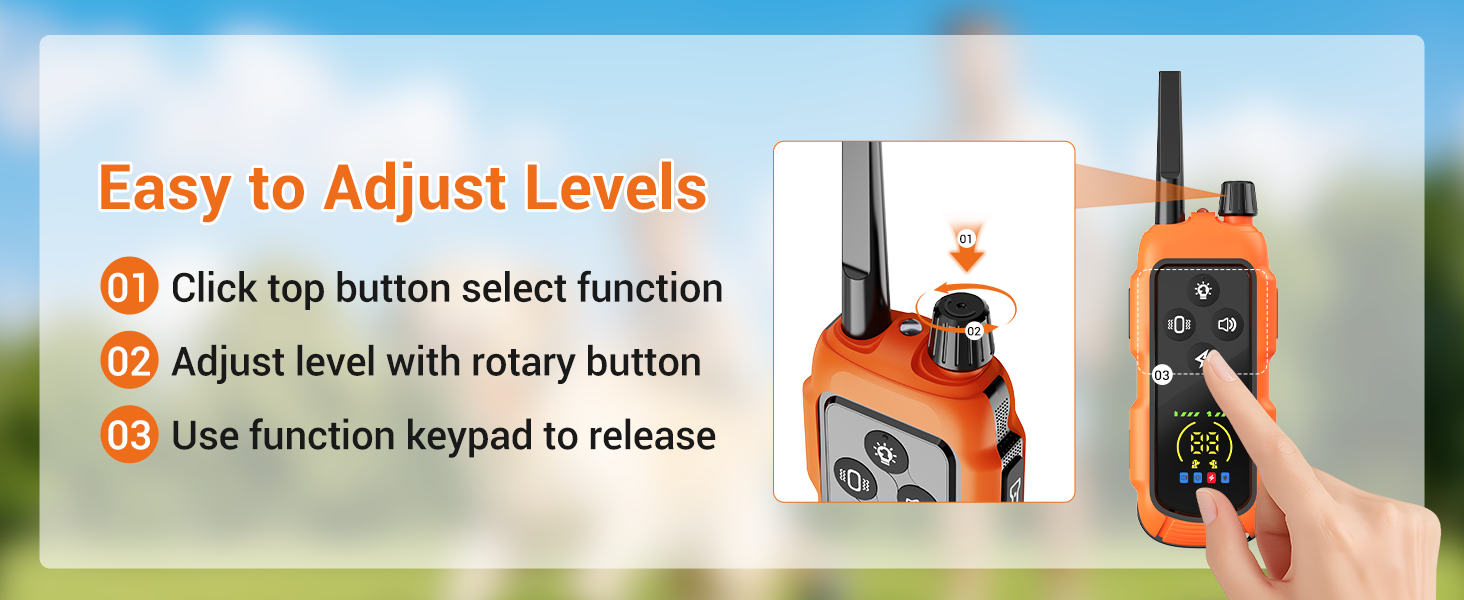 dog training collar with remote