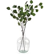 Bfttlity Clear Glass Vase Tall Farmhouse Vase for Branches Glass Vases for Centerpieces in Home D...