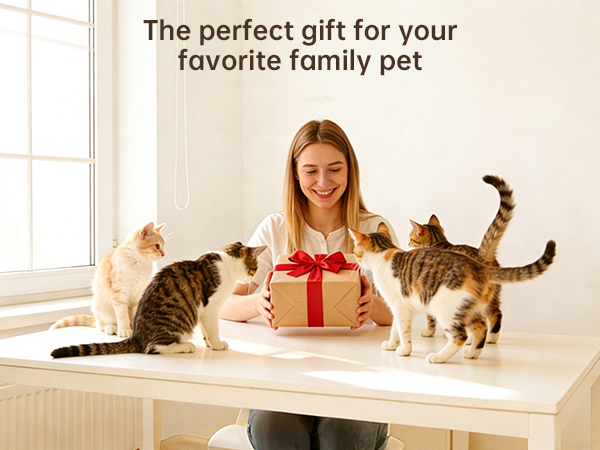 pet cat supplies automatic feeder automatic pet feeder automatic feeder cat dry food