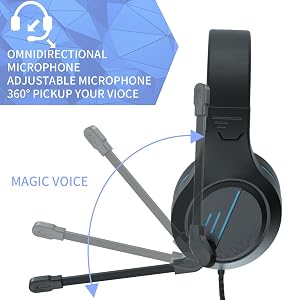 mic