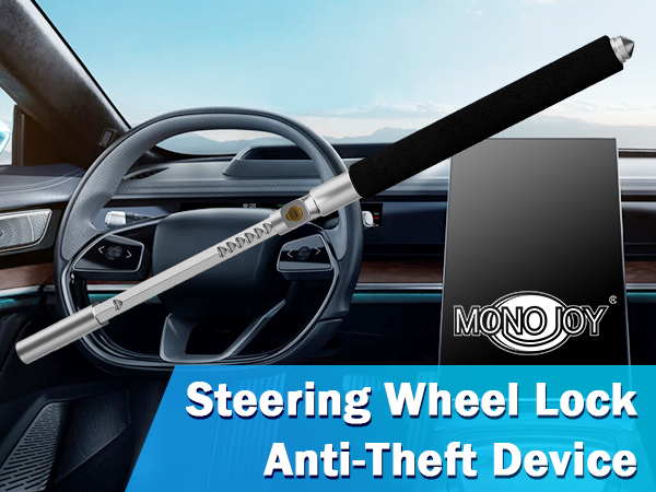 Anti Theft Device