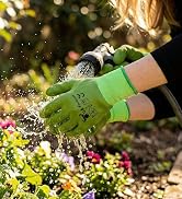 Woman gloves