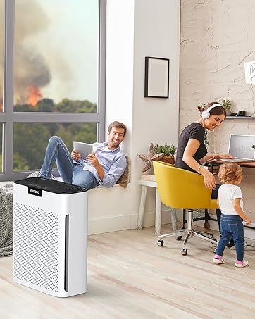 https://m.media-amazon.com/images/S/aplus-media-library-service-media/08ca08aa-5665-4a80-af3f-a922d60a0cd7.__CR267,0,1199,1500_PT0_SX362_V1___.jpg