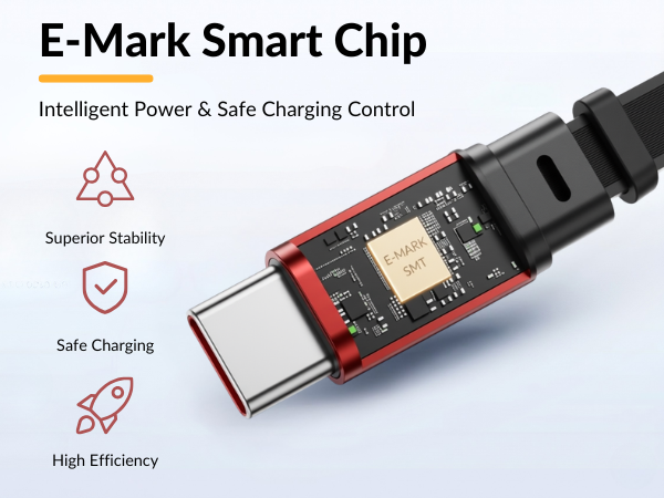 E-Mark Chip_Final (2)