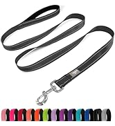 PenSeepet Dog Leash 6 FT Padded Handle Nylon Reflective Dogs Leashes for Medium Dogs Black
