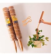 Coir Moss Pole Grow Pole 2 Pack 15” Poles. Climbing Plants to Make Your Plants Grow Upward | 100%...