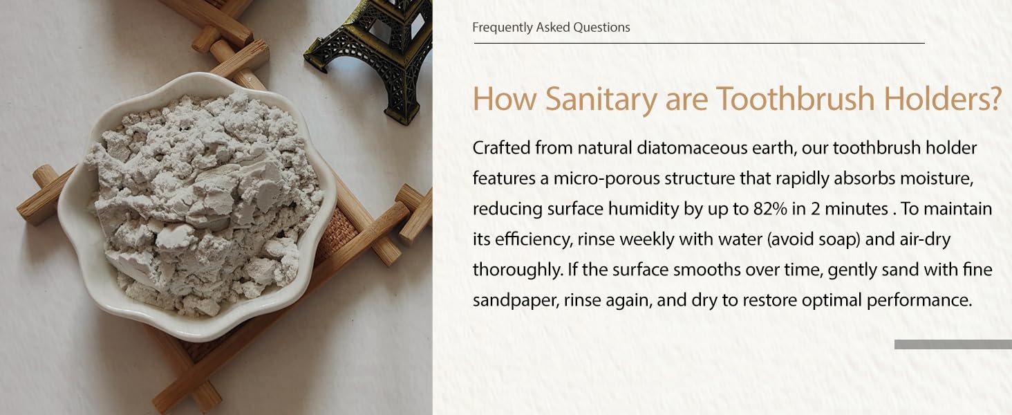 How Sanitary are Toothbrush Holders?
