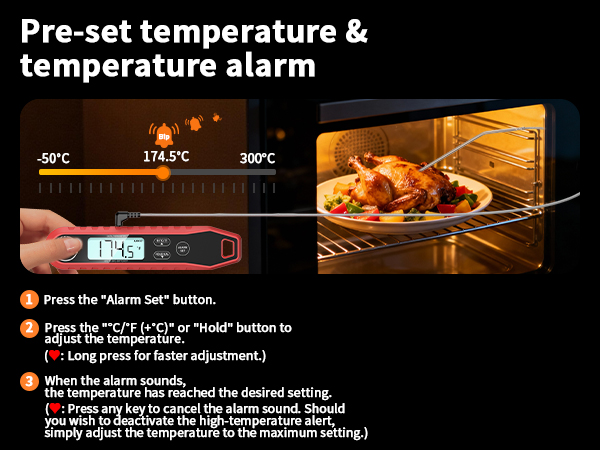 meat thermometer