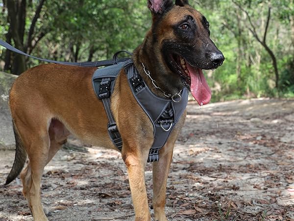 dog harness no pull