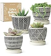 LE TAUCI Succulent Pots, 3.5 Inch Cement Plant Pot with Drainage Holes & Saucers, Beautiful Gifts...