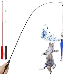 wand tease toy