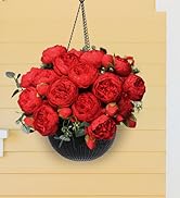 red flowers