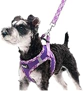PUPTECK Dog Harness and Leash Set for Small Medium Dogs No Pull Step-in Soft Mesh Puppy Cat Vest ...