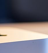 DUNGZDUZ USB C Mini Microphone for Mac mini M4/M4 Pro & MacBook | Plug-and-Play Condenser Mic, Co...