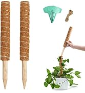 Joyhalo 26.4 Inch Moss Pole Monstera Plant Support, 2 Pcs 15.7 Inch Moss Pole for Plants Monstera...