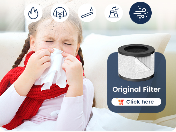 air purifier