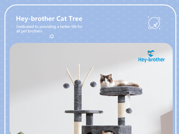 cat tree