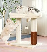 cat tree