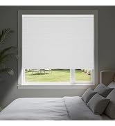 Zeluna Cordless Blackout Cellular Shades for Indoor Windows, Privacy UV Protection Honeycomb Blin...