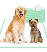 Oomicat Dog Pee Pads Extra Large 30" × 36" - 40 Count, XXL Urine Underpads|Unscented Green Pet Pe...