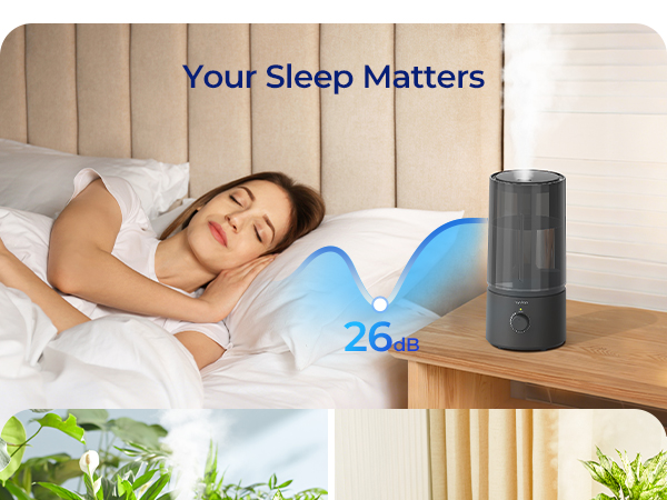 Humidifier