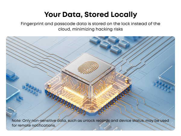 Local Security