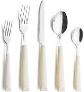 ANNOVA 20PCS Flatware Set Stainless Steel Silverware/Cutlery Set With Colored Handles Comfortable...