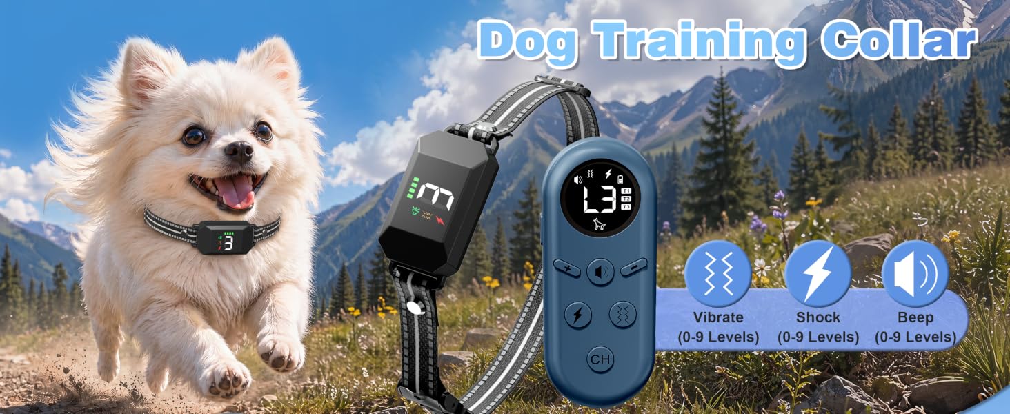 Small Shock Collar for Dogs