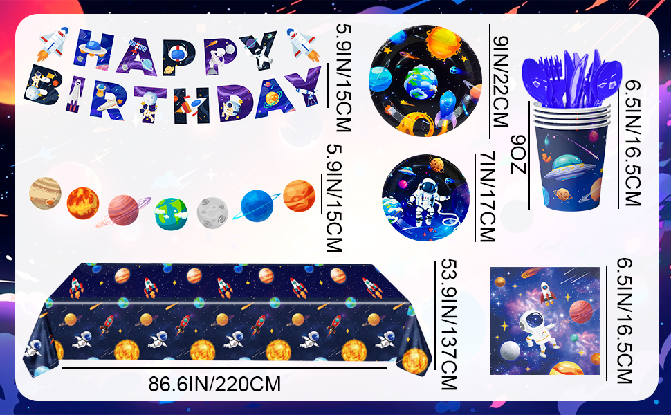 space plates party supplies