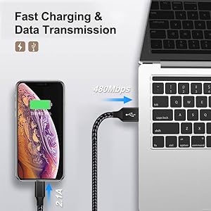 Fast Charging