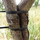1000 zip ties