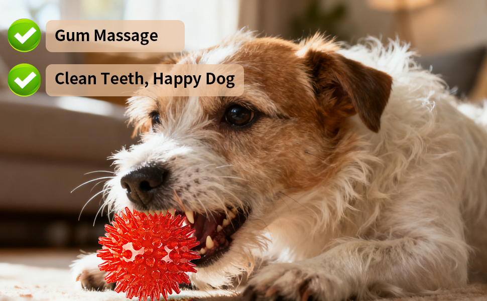 squeaky balls for dogs