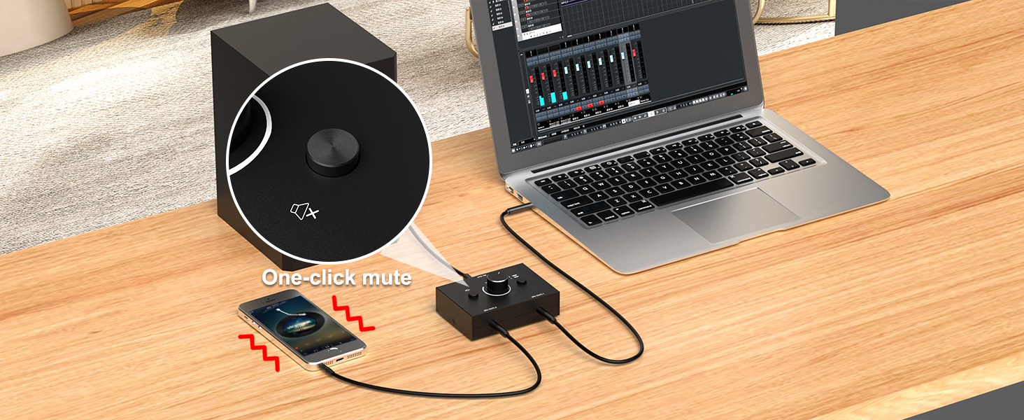 Audio Switch