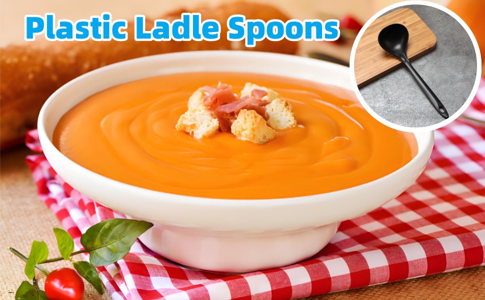 Plastic Ladle Spoons