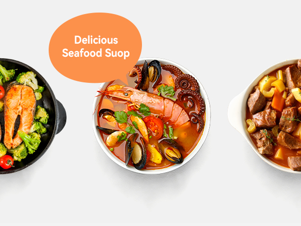 portable induction cooktop