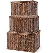 Nonam Wicket Basket with Lid, Large Shelf Baskets for Boho Deco, Plastic Storage Organizer Bins-S...