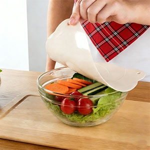 Food Preservation Lid