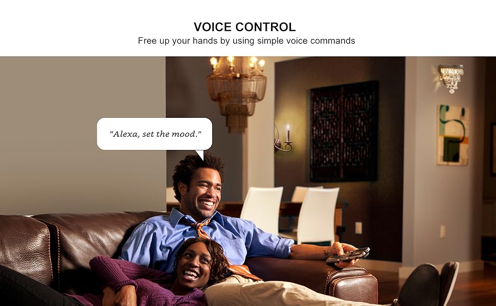 ST19 Voice Control