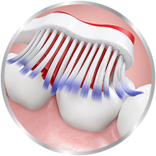 parodontax toothbrush