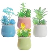 Naidiler 4Pcs Artistic Artificial Succulents in Ceramic Pots, Colorful Potted Fake Succulents Pla...