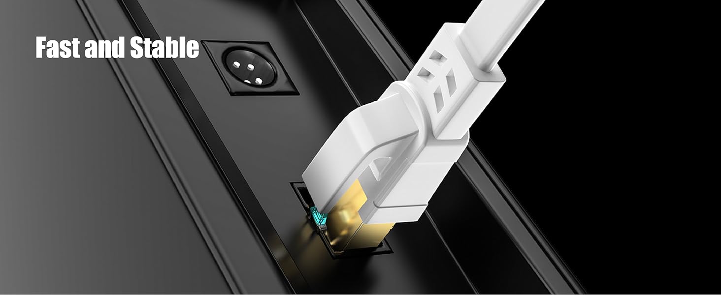 Ethernet Cable 100 ft