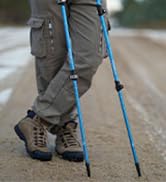 Foxelli Trekking Poles â?? Lightweight Collapsible Trekking Poles for Hiking Men & Women, Perfect B...