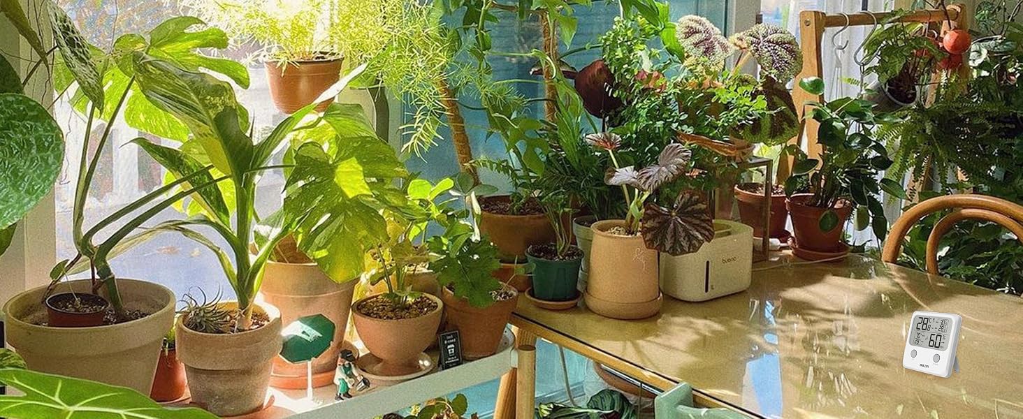 GREENHOUSE