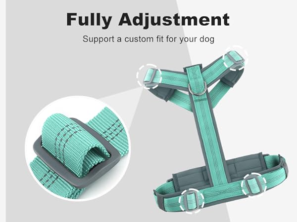 harness large size dog