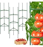 Upgraded Stable Tomato Cages - Durable Tomato Plant Stakes Trellis for Garden, Easy to Assemble, ...