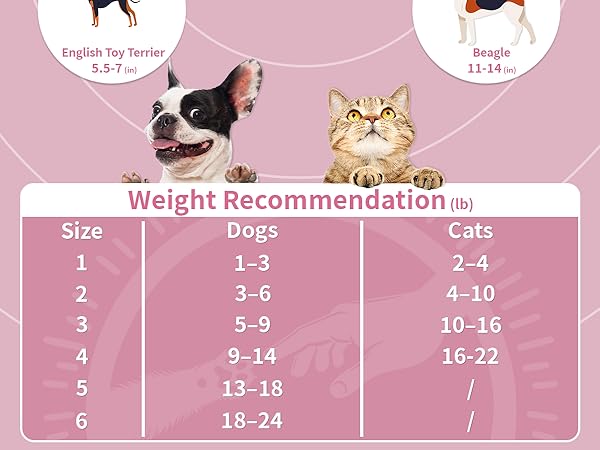 soft cat cone collar