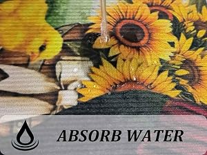 ABSORB WATER