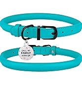 dog collar