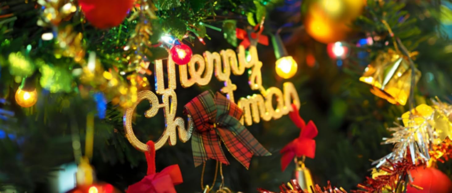 christmas lights christmas decorations indoor and outdoor